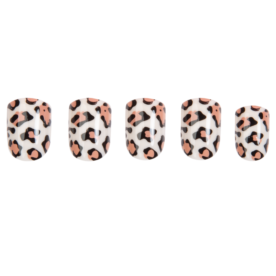 Leopard for Lydia Square