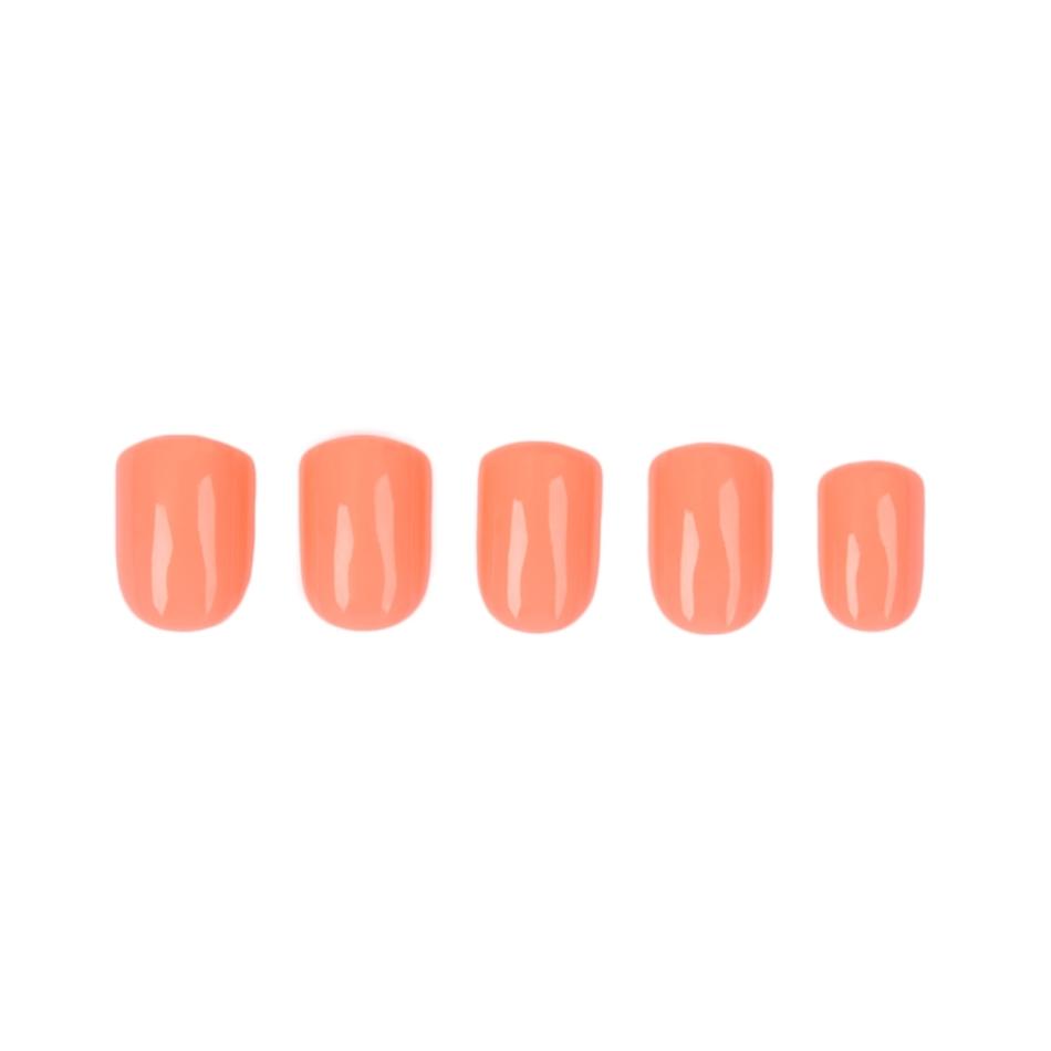 Kaitlyn's Living Coral Square